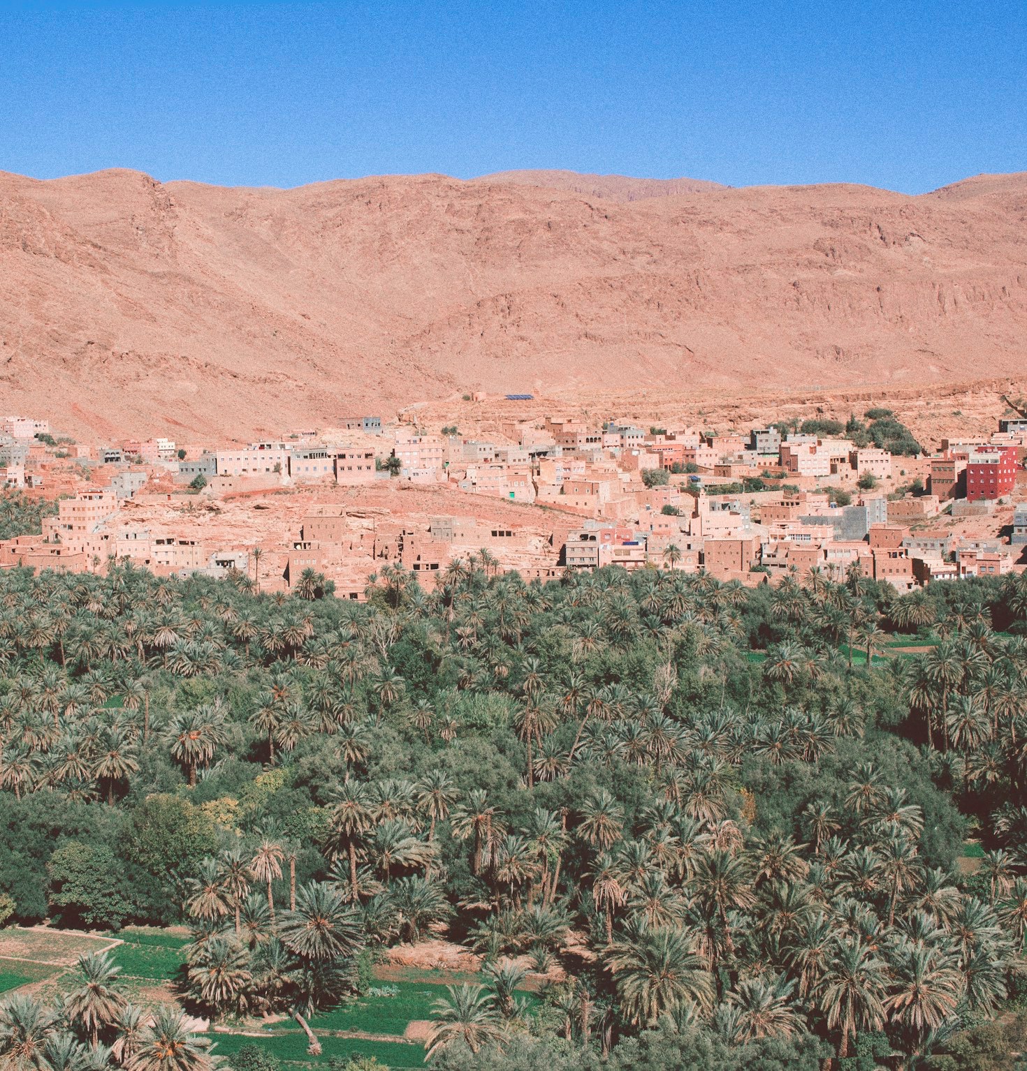 Planning the Perfect Moroccan Adventure
